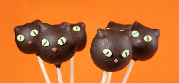 Katzen aus Schokolade